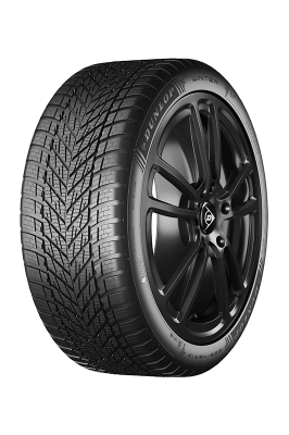 Pneu DUNLOP WINTER