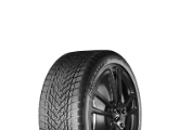 Pneu DUNLOP WINTER