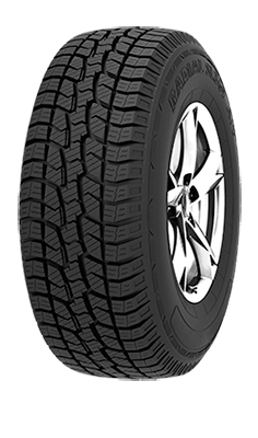 Pneu WESTLAKE SL369 225 70 R15 100/T