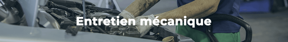 Promo courroie de distribution